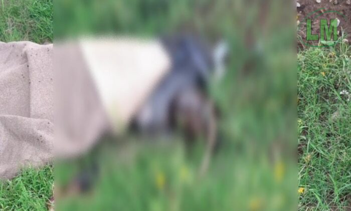 MISTERIOSO HALLAZGO: INVESTIGAN LA MUERTE DE UN HOMBRE EN BERAZATEGUI