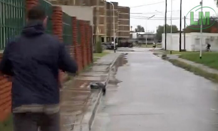 PERIODISTAS DE A24 SUFREN ROBO DE EQUIPOS DURANTE COBERTURA EN DOCK SUD