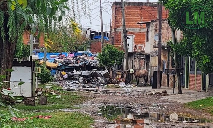 RESCATE EN QUILMES: LA HISTORIA DE GRANOLA, UNA YEGUA EXPLOTADA HASTA EL CANSANCIO