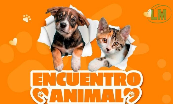 ENCUENTRO ANIMAL EN BERAZATEGUI: UNA JORNADA PARA CELEBRAR Y CUIDAR A NUESTRAS MASCOTAS