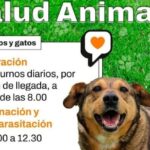 Nueva Plantilla destacada web 20260615 135249 0000