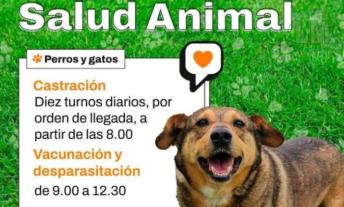 JORNADAS GRATUITAS DE SALUD ANIMAL EN BERAZATEGUI PARA PERROS Y GATOS