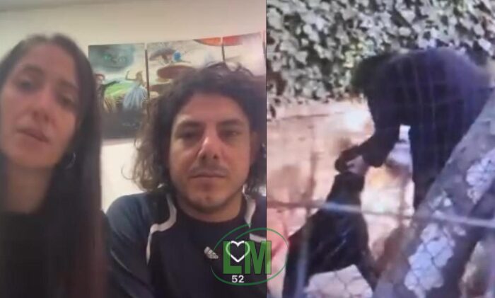 CONTROVERSIA POR MÉTODOS DE CUIDADO EN UNA GUARDERÍA CANINA DE BERAZATEGUI