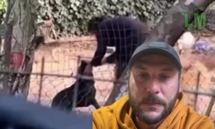 DENUNCIAN MALTRATO ANIMAL EN UNA GUARDERÍA CANINA DE BERAZATEGUI