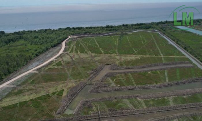 DESTRUCCIÓN AMBIENTAL EN LA COSTA DE BERAZATEGUI POR OBRAS ILEGALES