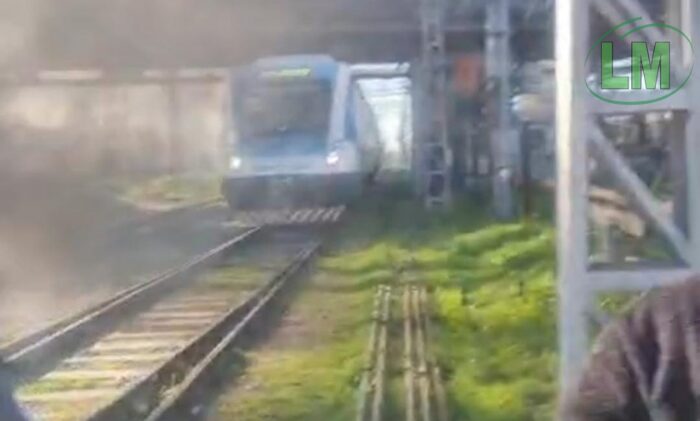 TREN ROCA: FERIANTES REALIZAN CORTE DE VÍAS EN BOSQUES Y AFECTA EL SERVICIO