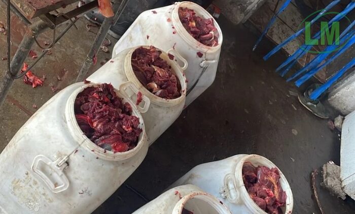 BERAZATEGUI: CONDENARON A 9 PERSONAS POR FAENA CLANDESTINA DE CABALLOS Y MALTRATO ANIMAL