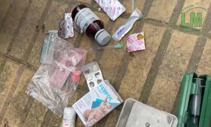 ESCÁNDALO EN QUILMES: VECINOS ENCUENTRAN PRUEBAS DE MALTRATO ANIMAL TRAS UN ALLANAMIENTO POLICIAL NEGATIVO