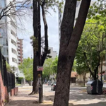 Nueva Plantilla destacada web (1)