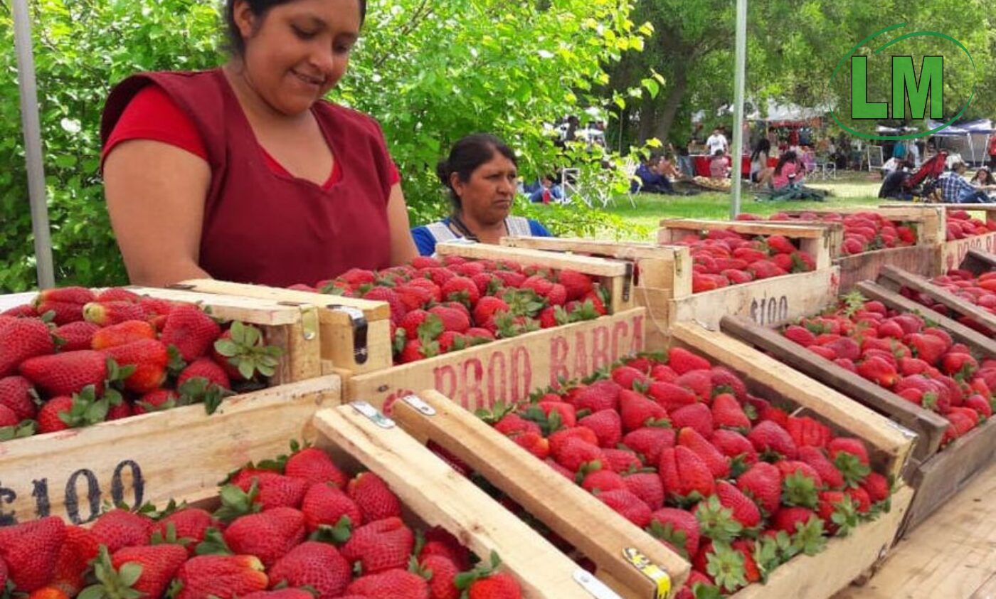 FLORENCIO VARELA SE PREPARA PARA UNA NUEVA EDICIÓN DE LA FIESTA DE LA FRUTILLA