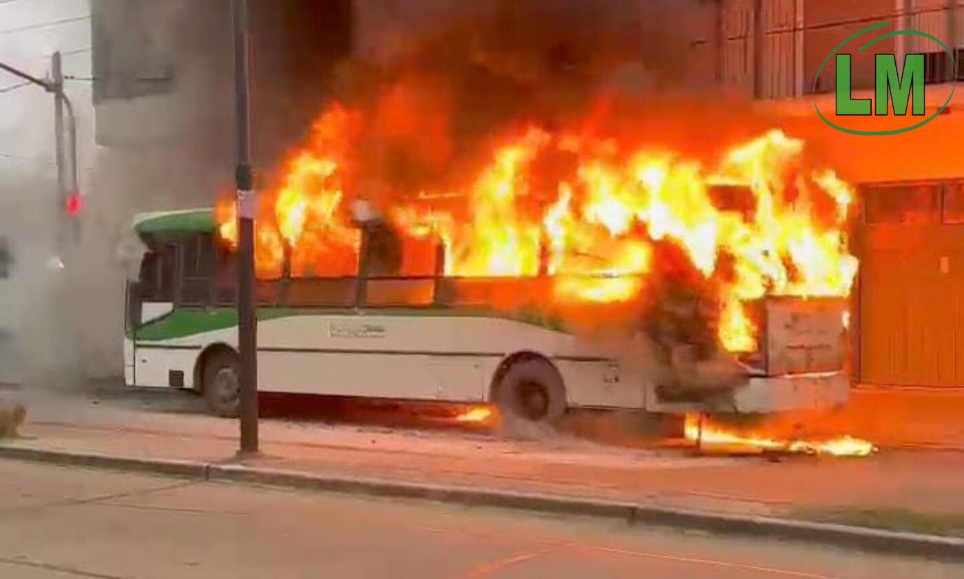 INCENDIO DE COLECTIVO DE LA LÍNEA 219 EN BERAZATEGUI DESTRUYÓ CABLES Y AFECTÓ VIVIENDAS