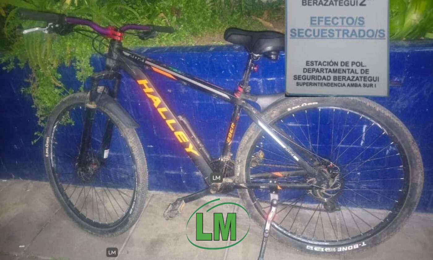 DETENIDO POR INTENTAR ROBAR UNA BICICLETA EN EL PASEO DE COMPRAS DE RANELAGH