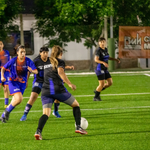 copa web