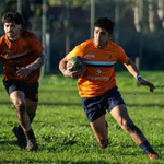 rugby web